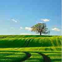 智‌能​网‍络‍爬‍虫​